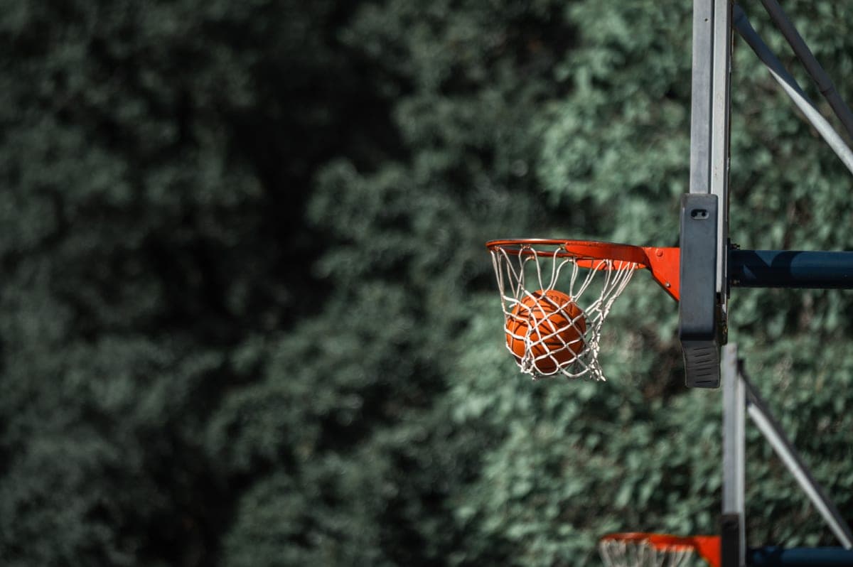 A basketball dropping through an outdoor hoop with green trees behind